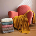 Charger l'image dans la visionneuse de la galerie, Plaid Crochet Grosse Maille